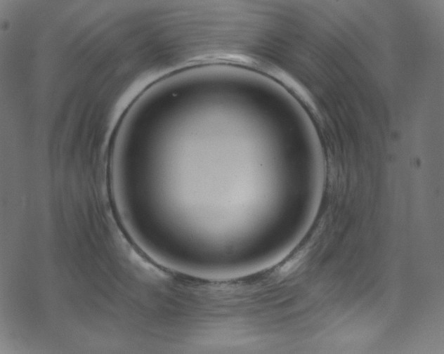 X0000073981102200608211248