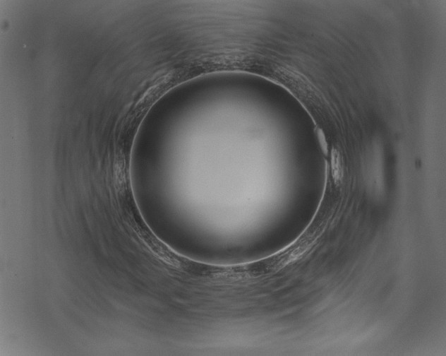 X0000073981107200608211248