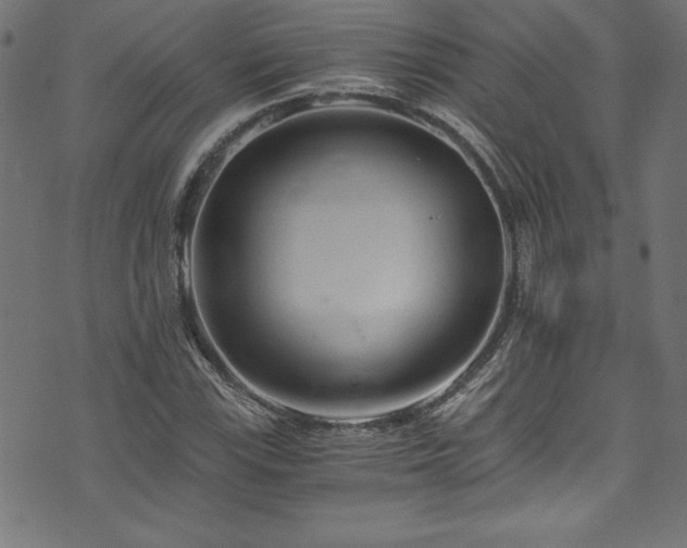 X0000073981115200608211248