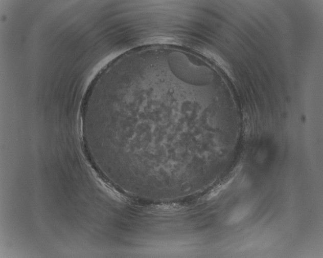 X0000073981125200608211248