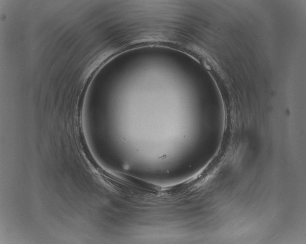 X0000073981129200608211248