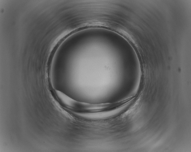 X0000073981133200608211248