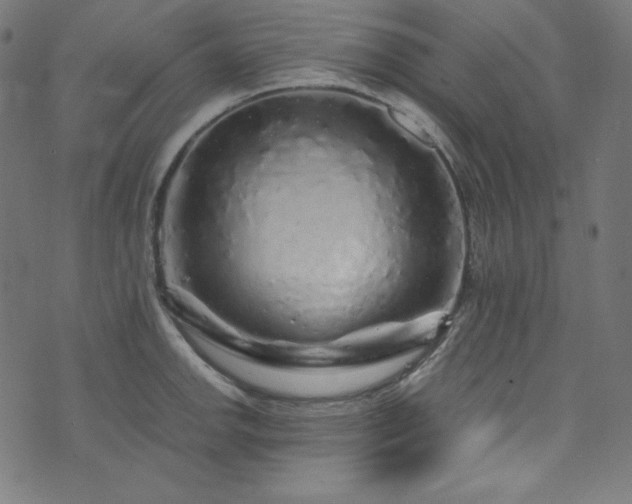 X0000073981142200608211248