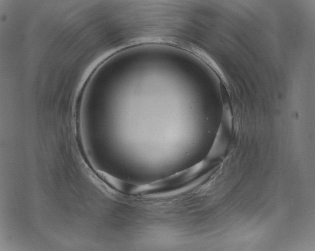 X0000073981148200608211248