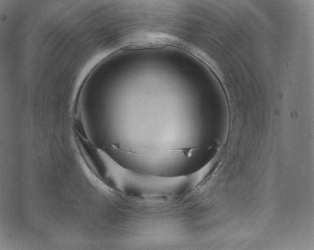 X0000073981152200608211248