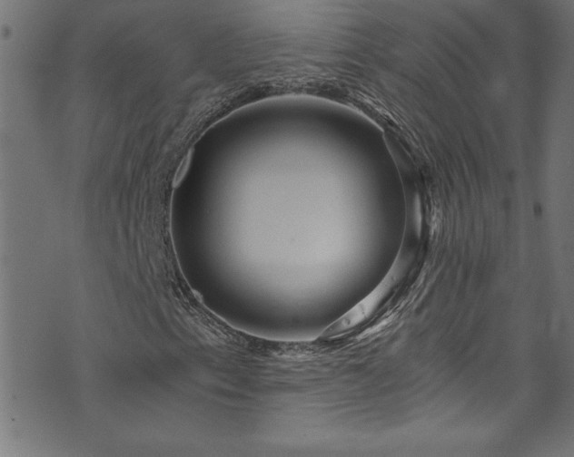 X0000073981153200608211248