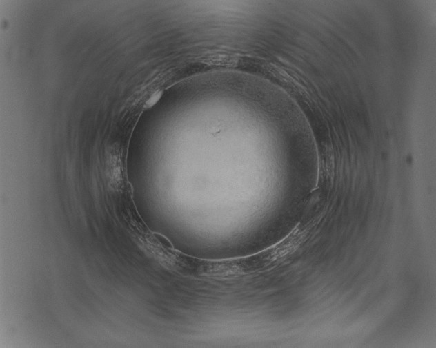 X0000073981154200608211248