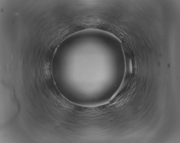 X0000073981156200608211248