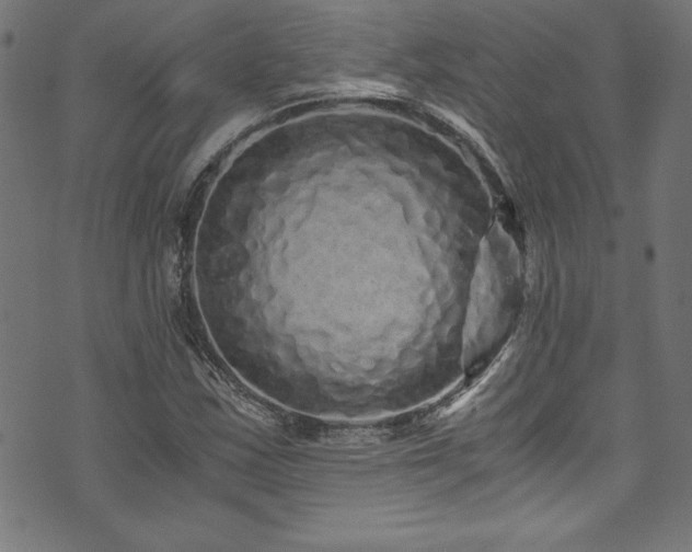 X0000073981163200608211247