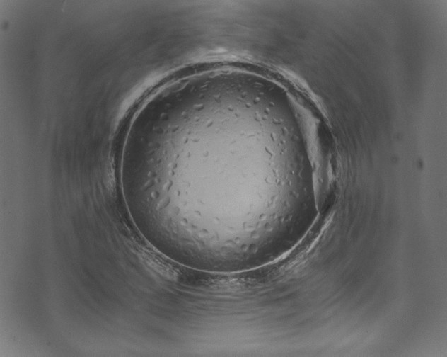 X0000073981167200608211247