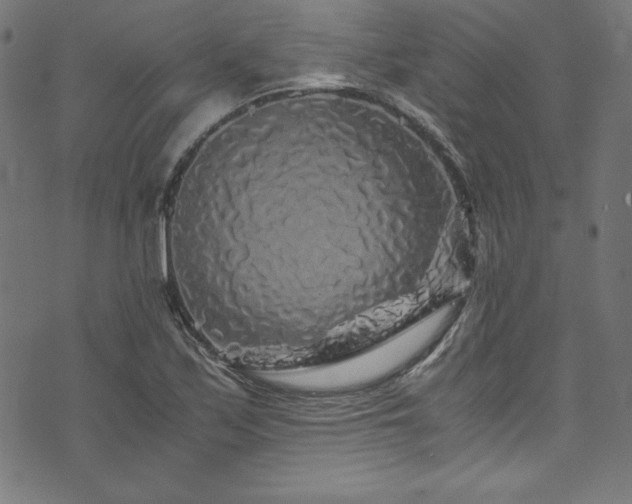 X0000073981171200608211247
