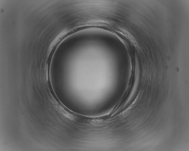 X0000073981180200608211247