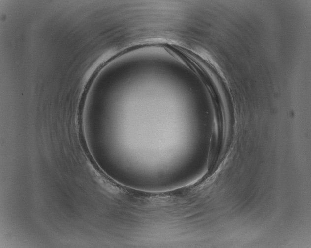 X0000073981181200608211247