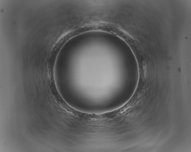 X0000073981206200608211246