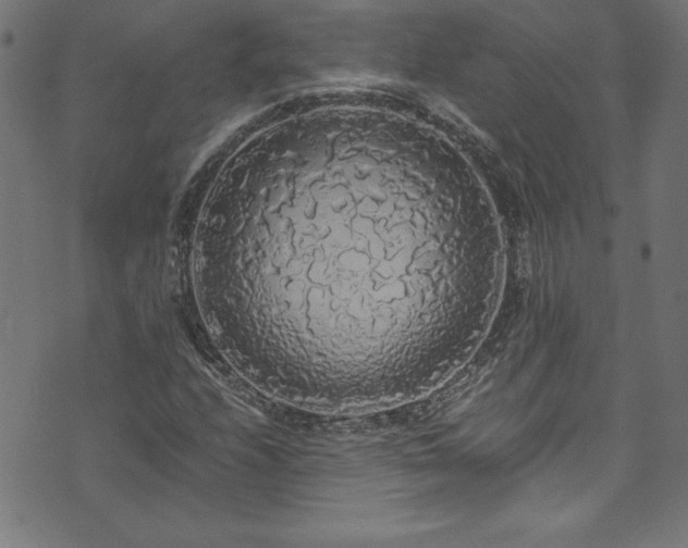 X0000073981208200608211246
