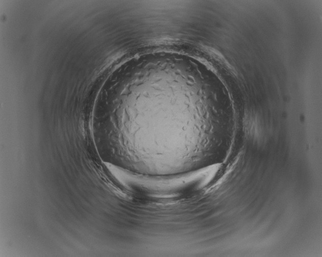 X0000073981209200608211246