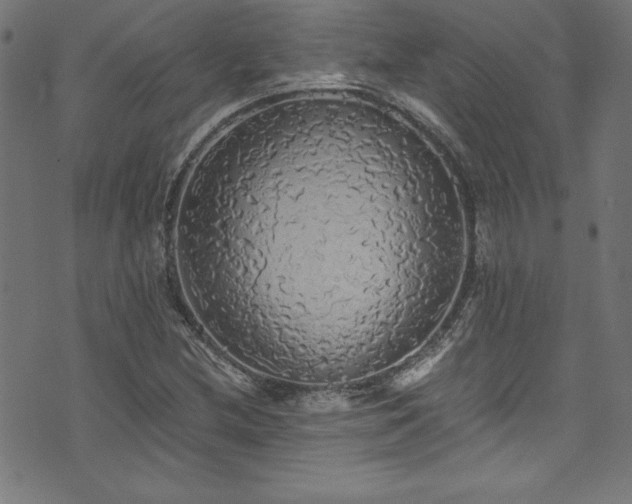 X0000073981212200608211246