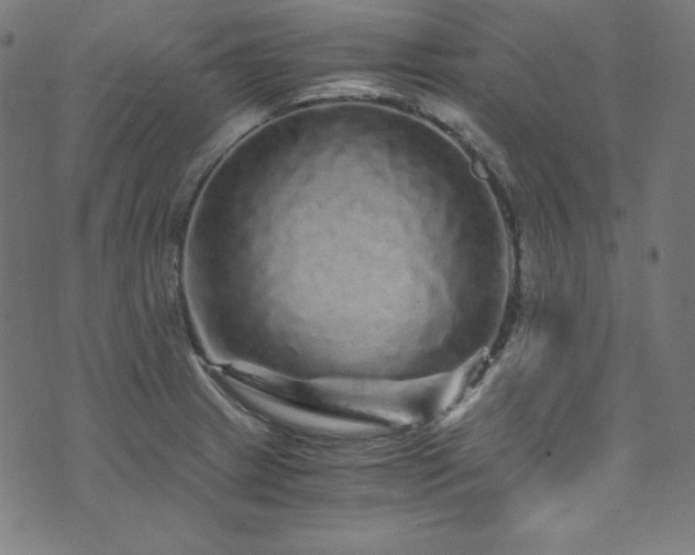 X0000073981233200608211247