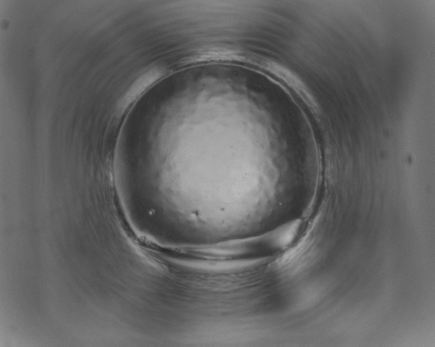 X0000073981241200608211247