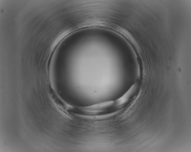 X0000073981242200608211247
