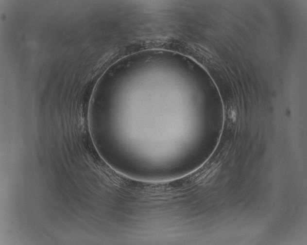 X0000073981252200608211246