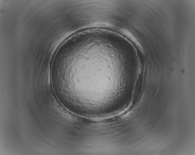 X0000073981276200608211246