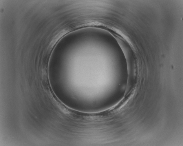 X0000073981281200608211246