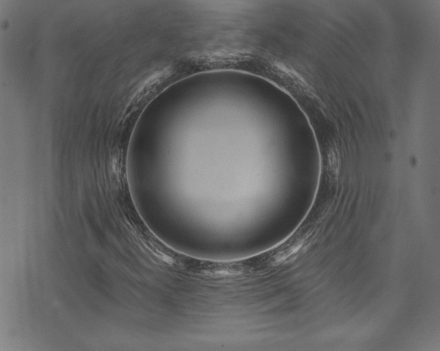 X0000073981300200608211245