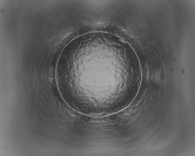 X0000073981301200608211245