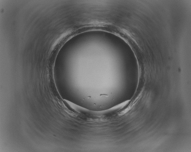 X0000073981307200608211245