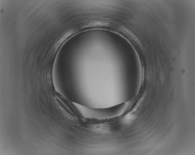 X0000073981321200608211245