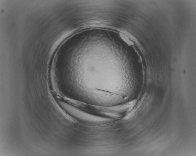X0000073981333200608211245