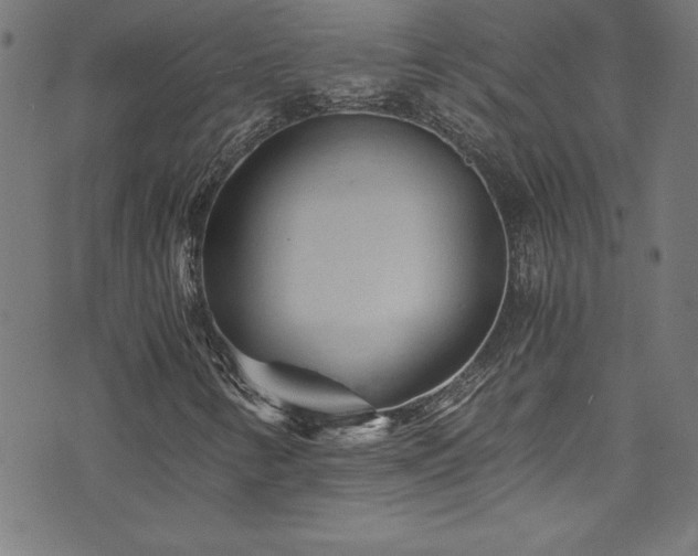 X0000073981346200608211245