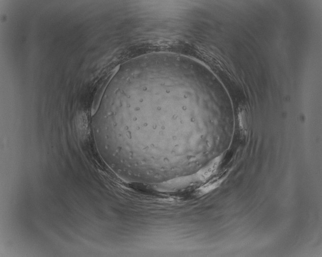 X0000073981347200608211245