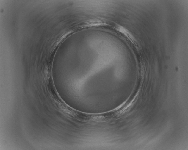 X0000073981353200608211244