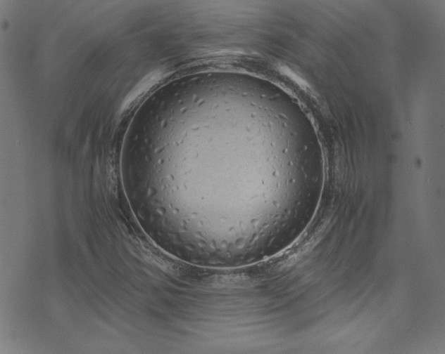 X0000073981354200608211244