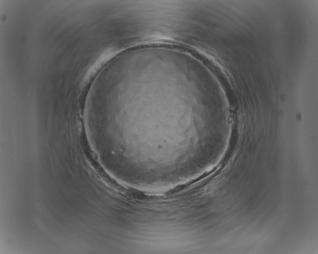 X0000073981363200608211244