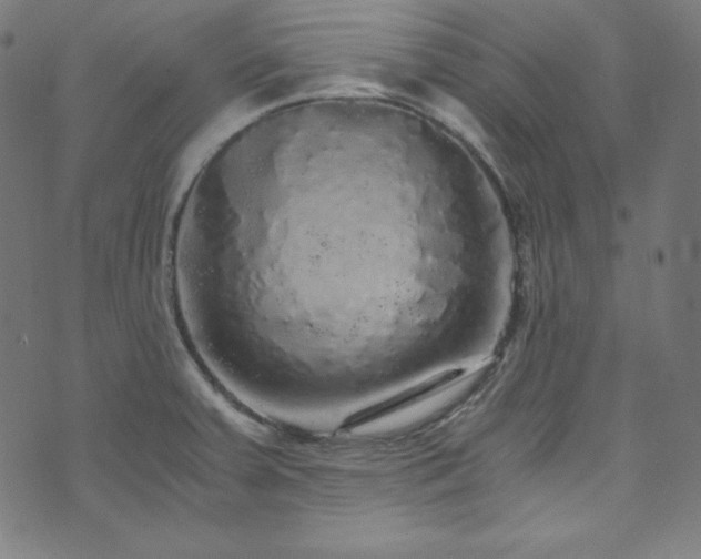 X0000073981379200608211244