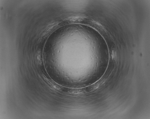 X0000073981396200608211243
