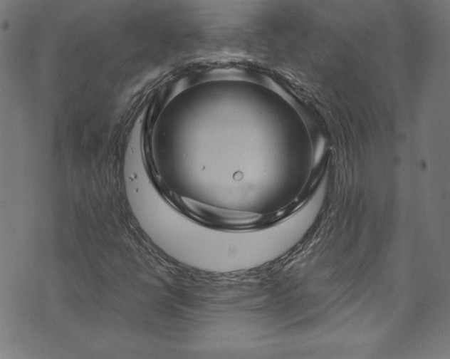 X0000073981398200608211243