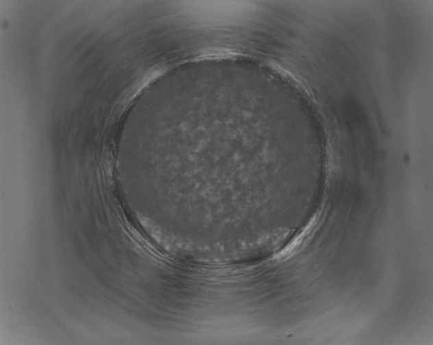 X0000073981401200608211243