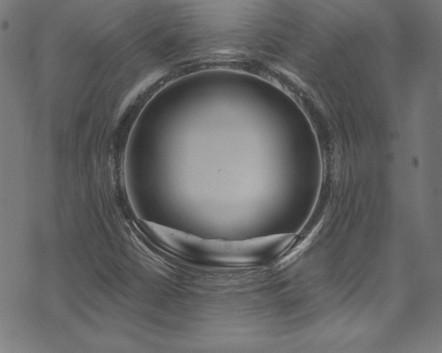 X0000073981402200608211243