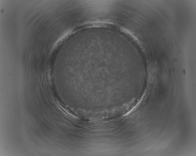 X0000073981403200608211243