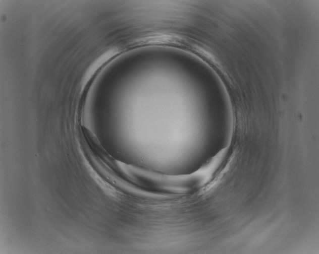 X0000073981426200608211244