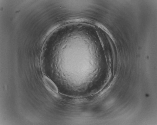 X0000073981433200608211244