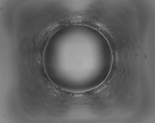 X0000073981445200608211243