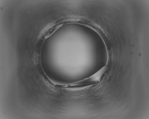 X0000073981448200608211243