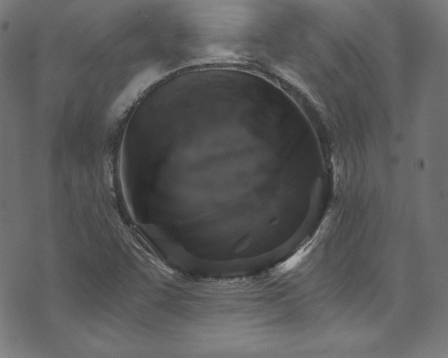 X0000073981455200608211243