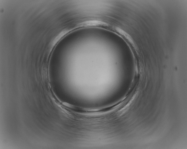 X0000073981473200608211242