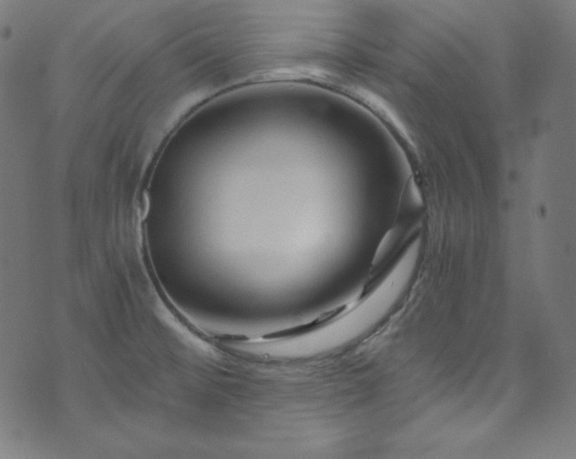 X0000073981476200608211242